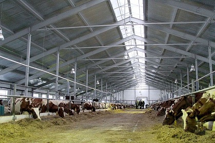 Иностранные инвесторы помогут сельскому хозяйству Коми