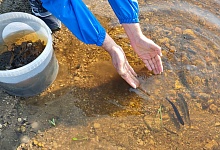 АО «Транснефть – Север» пополнило рыбные запасы Архангельской области  