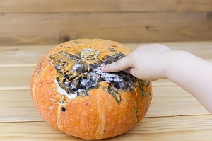 НА СТОРОНЕ ДОБРА...